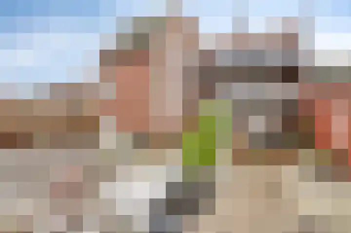 Aan de Greune Paol 17 3 Grevenbicht thumbnail 34