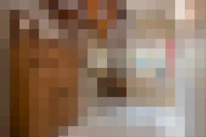 Aan de Greune Paol 23 Grevenbicht thumbnail 17