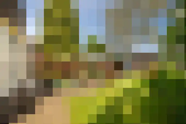 Aan de Greune Paol 23 Grevenbicht thumbnail 28