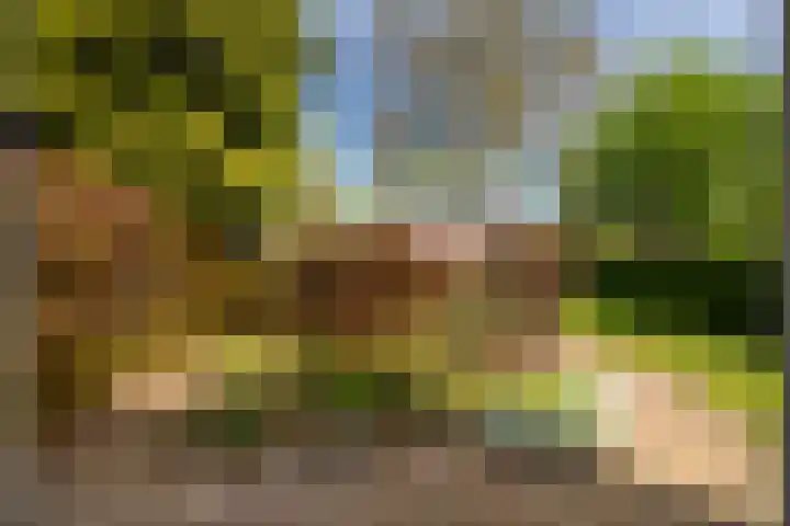 Aan de Greune Paol 23 Grevenbicht thumbnail 29