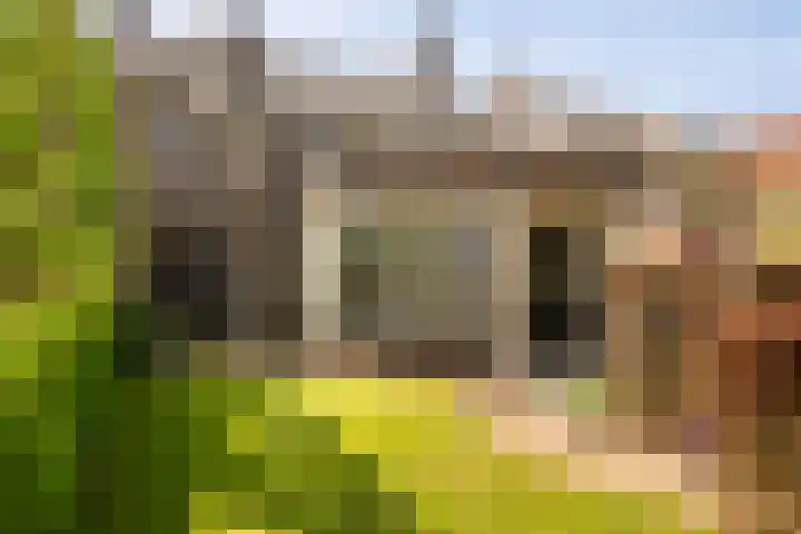 Aan de Greune Paol 23 Grevenbicht foto 3