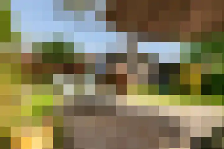 Aan de Greune Paol 23 Grevenbicht thumbnail 30