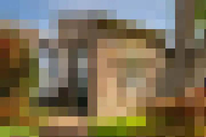 Aan de Greune Paol 23 Grevenbicht thumbnail 31
