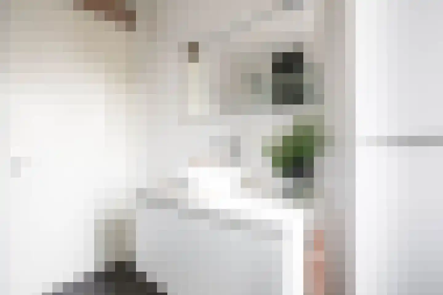 Aan de Griendsloot 4 Ammerstol thumbnail 25