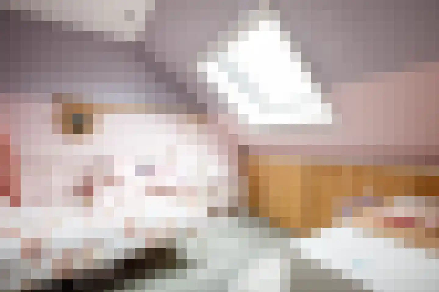 Aan de Griendsloot 4 Ammerstol thumbnail 30