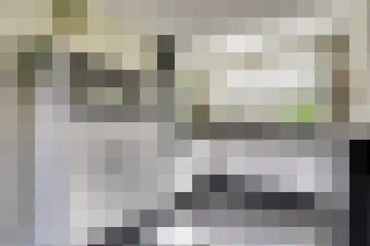 Aan de Griendsloot 8 Ammerstol thumbnail 13
