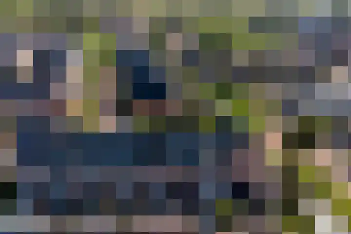 Aan de Griendsloot 8 Ammerstol thumbnail 32