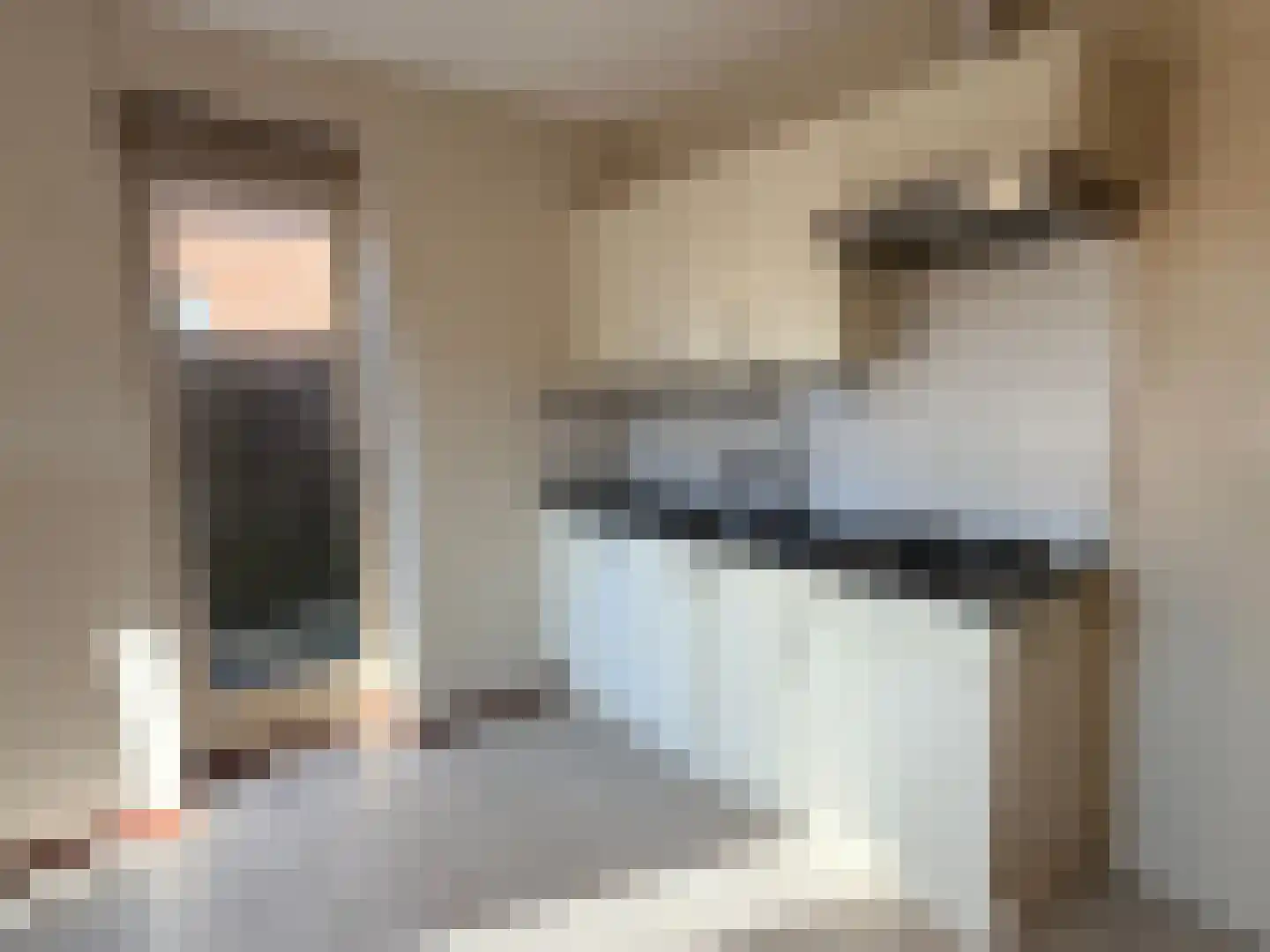 Aan de Heerstraat 12 Westerhoven thumbnail 5