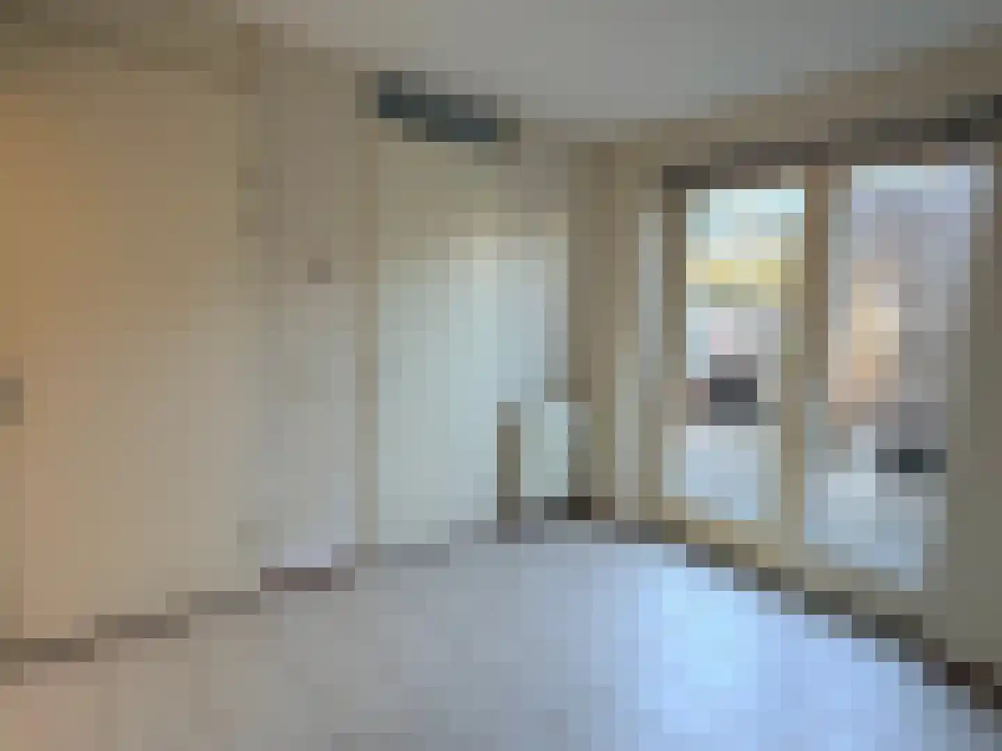 Aan de Heerstraat 12 Westerhoven thumbnail 9