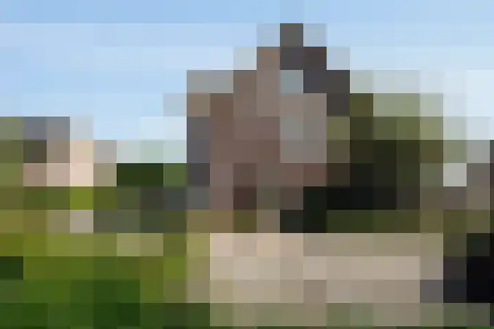 Aan de Heerstraat 21 Westerhoven thumbnail 41