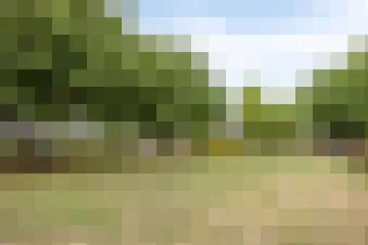Aan de Heerstraat 35 Westerhoven thumbnail 34