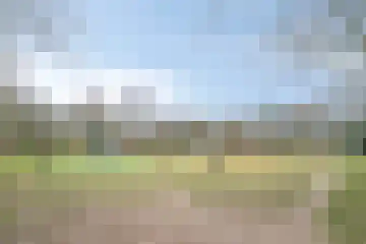 Aan de Heerstraat 4 Westerhoven thumbnail 34
