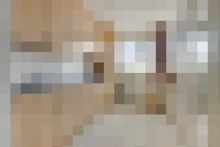 Aan de Heerstraat 4 Westerhoven thumbnail 5