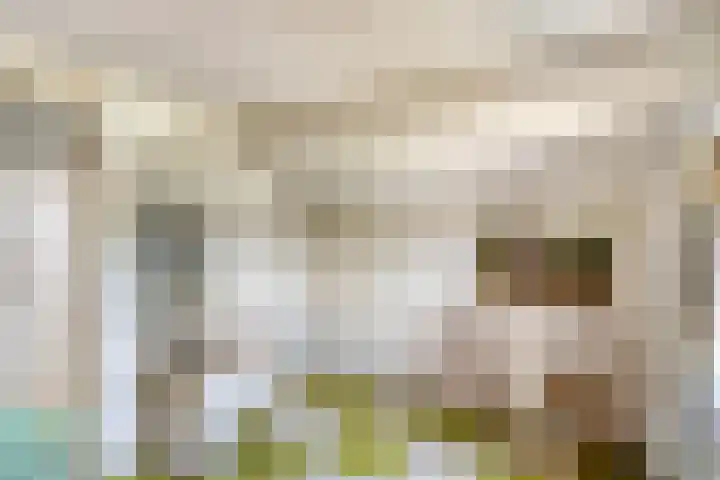Aan de Heibloem 10 Heythuysen thumbnail 31