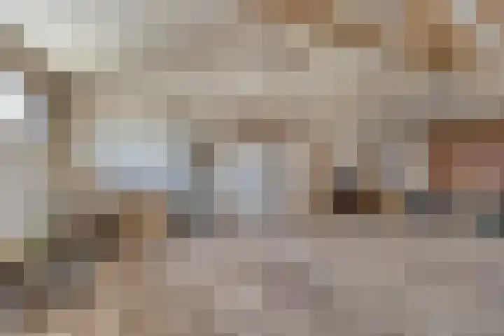 Aan de Heibloem 10 Heythuysen thumbnail 42