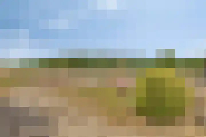 Aan de Heibloem 10 Heythuysen thumbnail 48