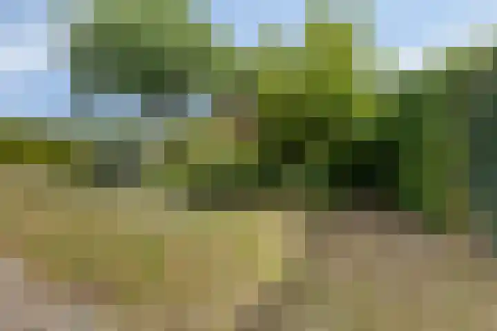 Aan de Heibloem 10 Heythuysen thumbnail 54