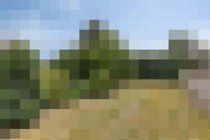 Aan de Heibloem 10 Heythuysen thumbnail 55