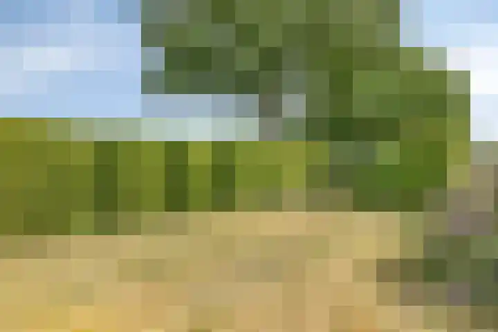 Aan de Heibloem 10 Heythuysen thumbnail 56