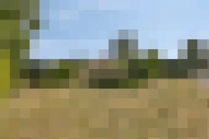 Aan de Heibloem 10 Heythuysen thumbnail 57