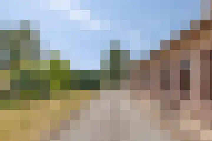 Aan de Heibloem 10 Heythuysen thumbnail 6