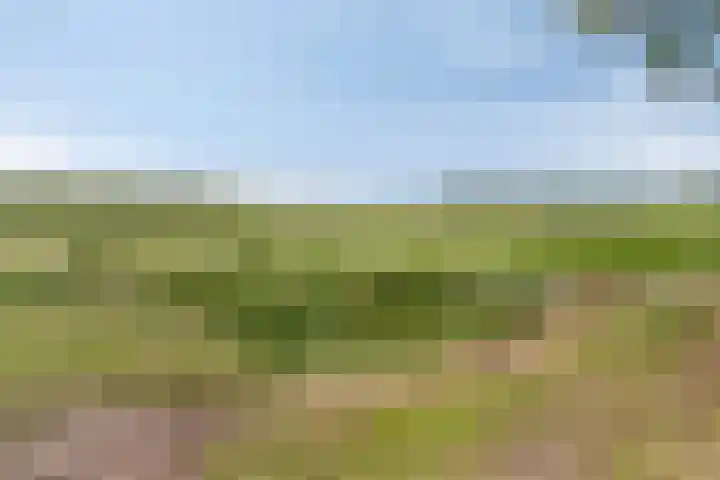 Aan de Heibloem 10 Heythuysen thumbnail 60