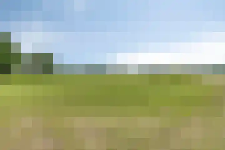 Aan de Heibloem 10 Heythuysen thumbnail 62