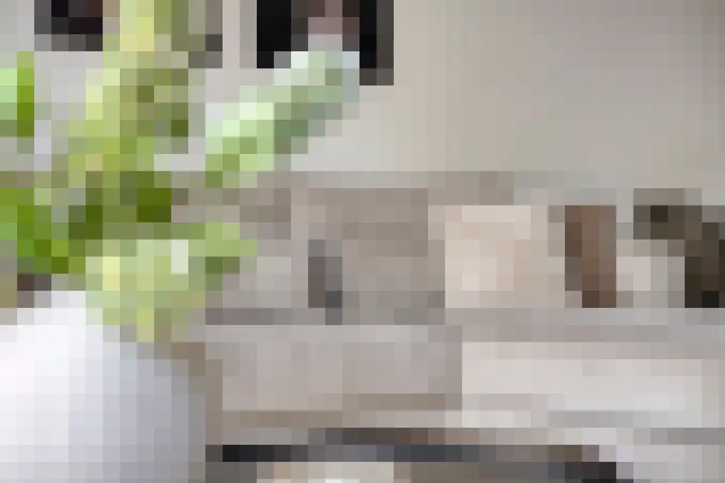 Aan de IJsbaan 14 Zuidland thumbnail 11