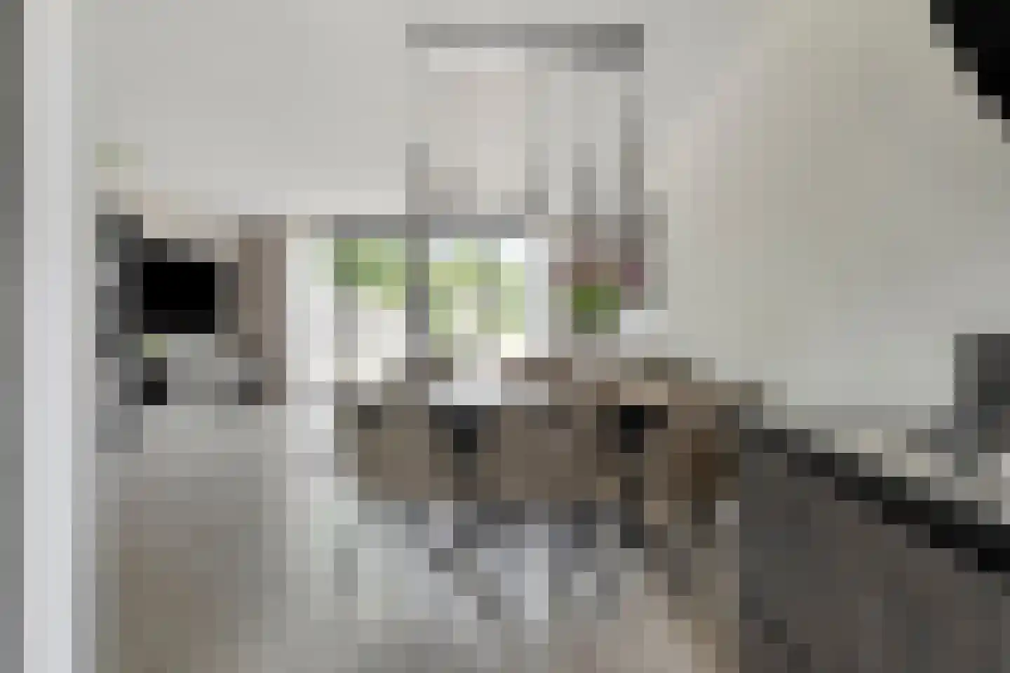 Aan de IJsbaan 14 Zuidland thumbnail 14