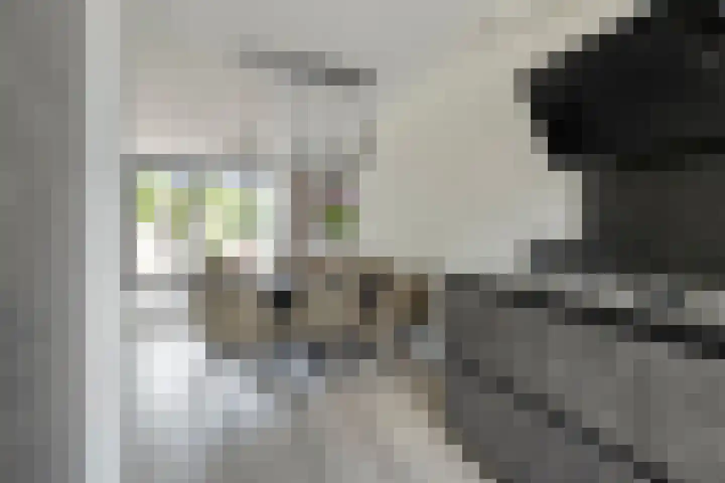 Aan de IJsbaan 14 Zuidland thumbnail 15