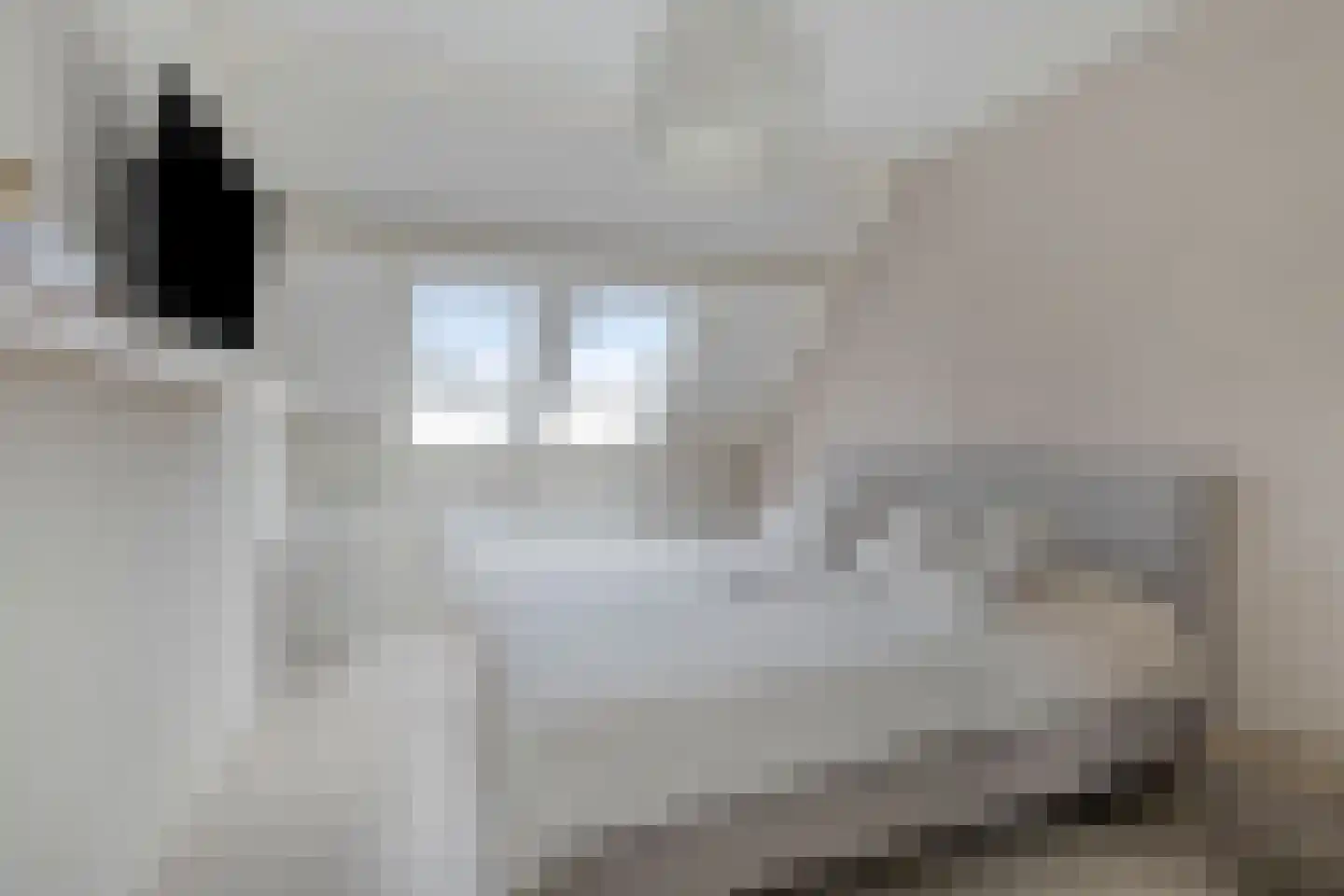 Aan de IJsbaan 14 Zuidland thumbnail 24