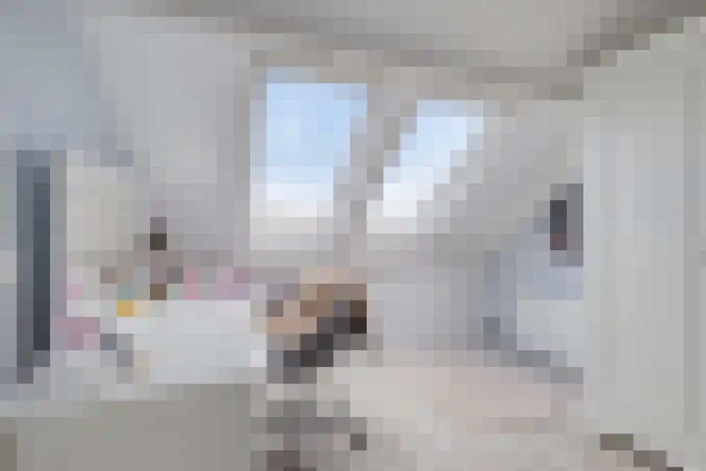 Aan de IJsbaan 14 Zuidland thumbnail 29