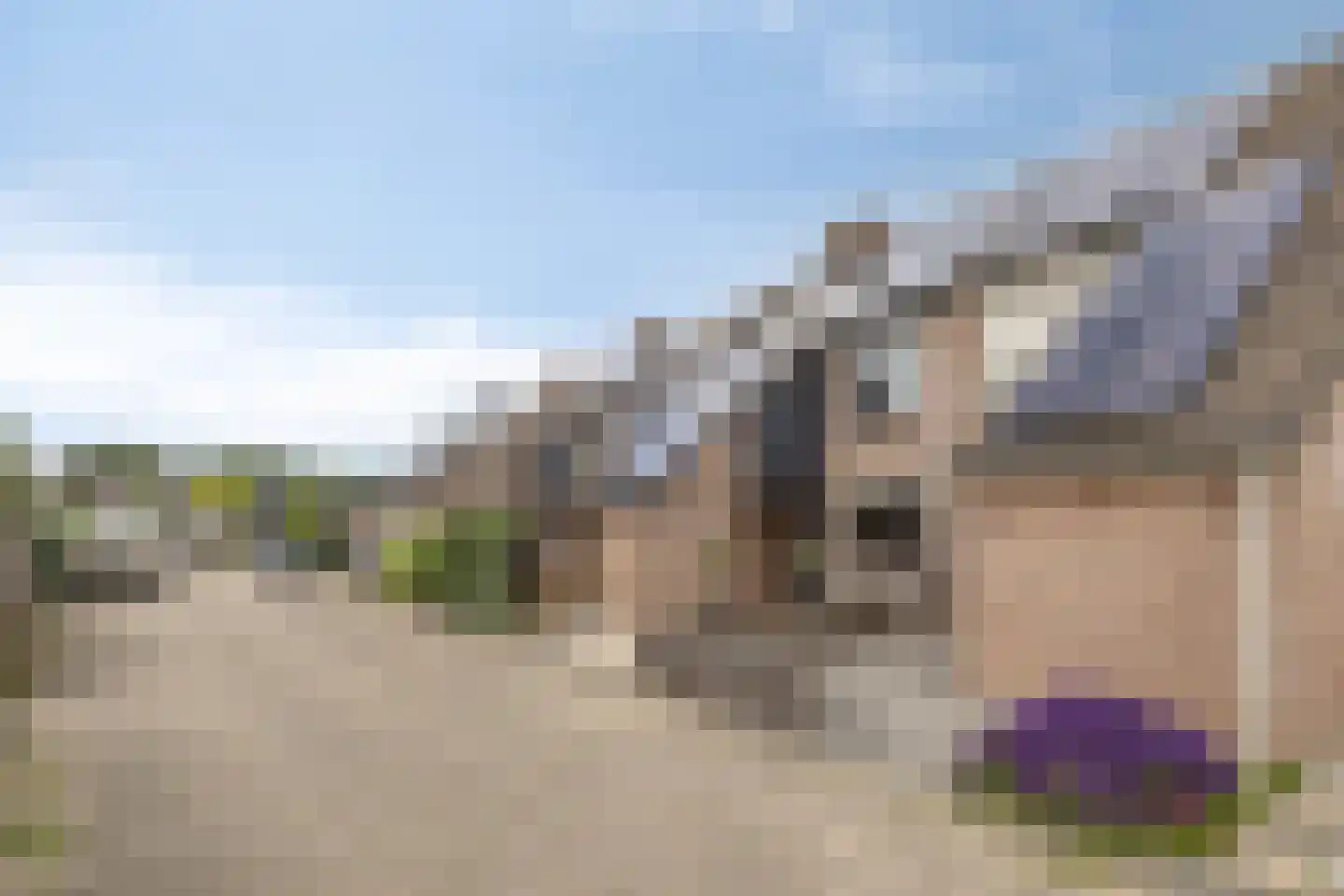 Aan de IJsbaan 14 Zuidland thumbnail 38