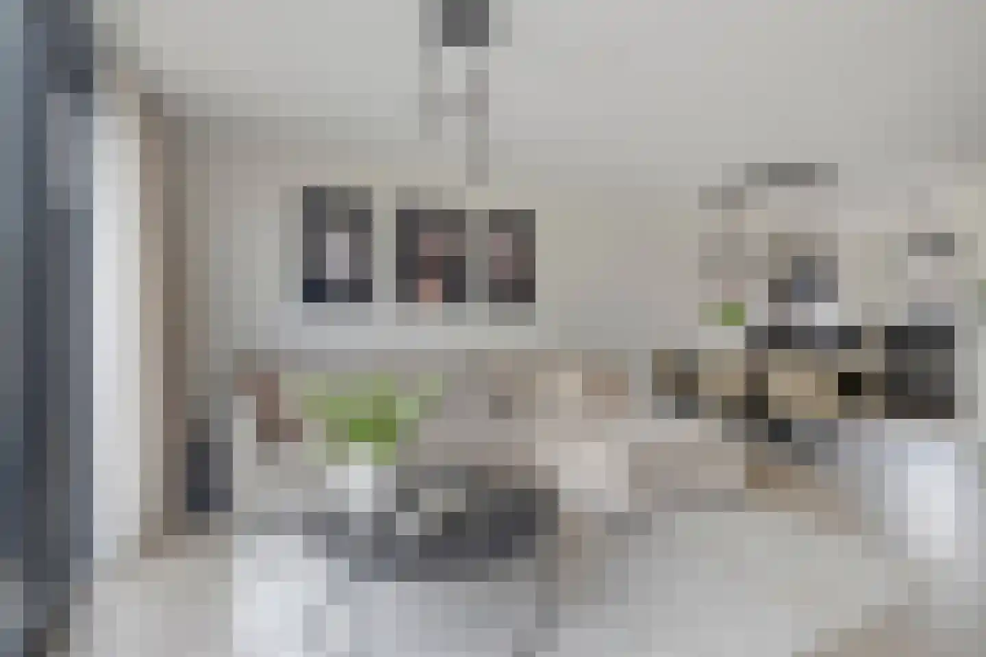 Aan de IJsbaan 14 Zuidland thumbnail 6