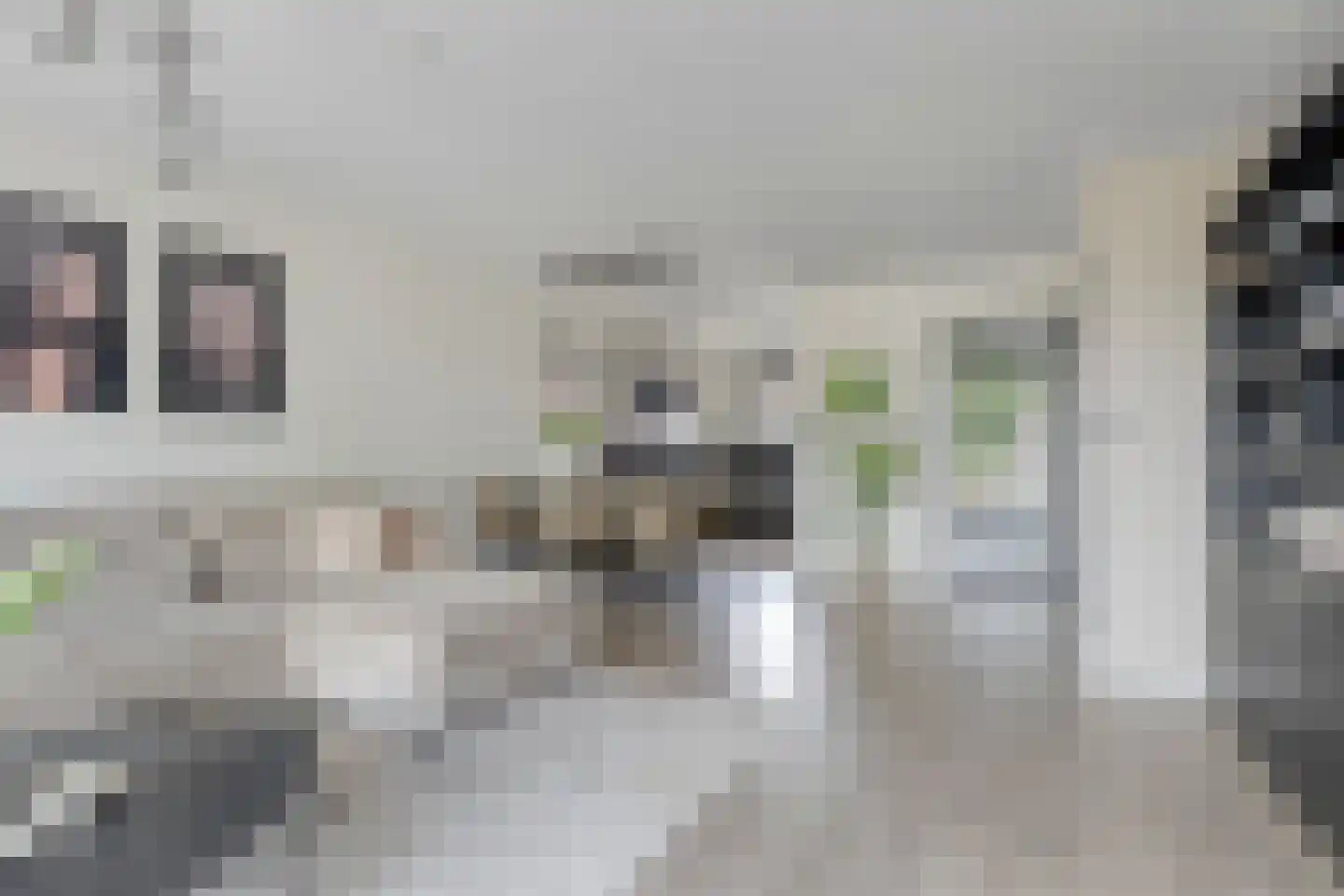 Aan de IJsbaan 14 Zuidland thumbnail 7