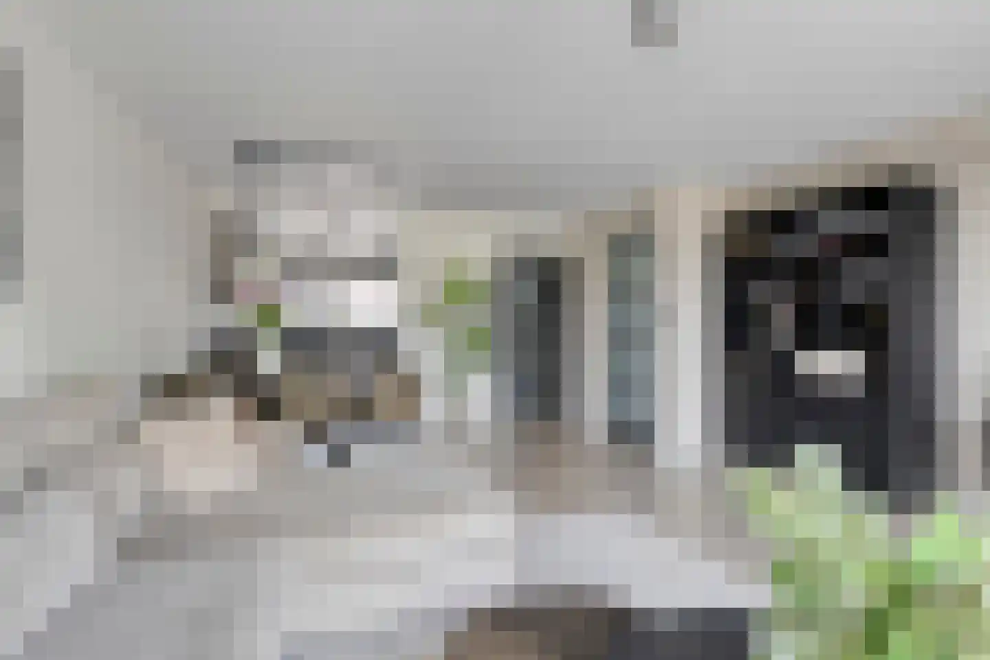 Aan de IJsbaan 14 Zuidland thumbnail 8