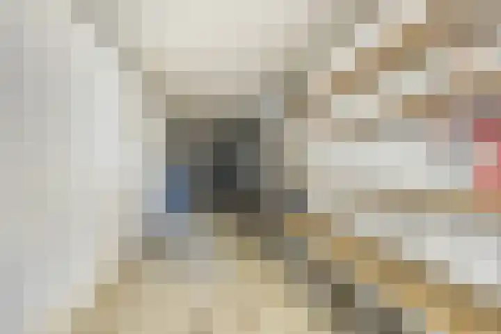 Aan de Kant 42 Uithoorn thumbnail 10