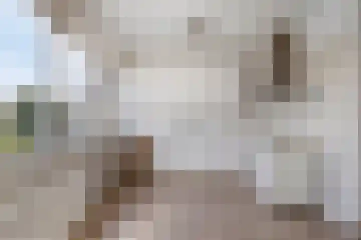 Aan de Kant 42 Uithoorn thumbnail 17