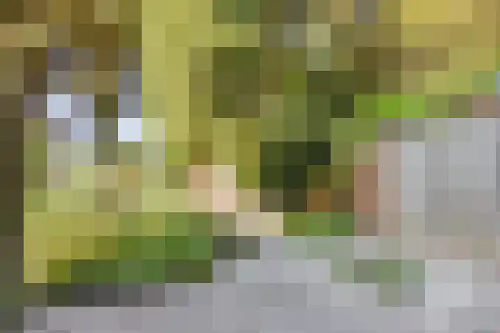 Aan de Kant 42 Uithoorn thumbnail 34