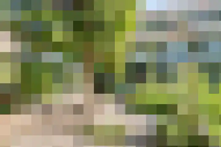 Aan de Kant 42 Uithoorn thumbnail 35