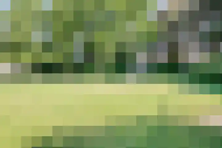 Aan de Kant 42 Uithoorn thumbnail 37