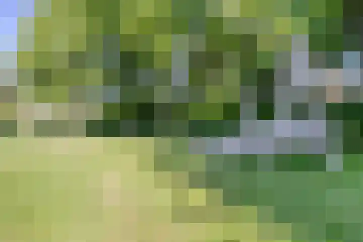 Aan de Kant 42 Uithoorn thumbnail 38