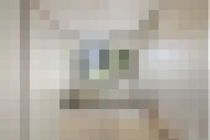 Aan de Kant 42 Uithoorn thumbnail 8