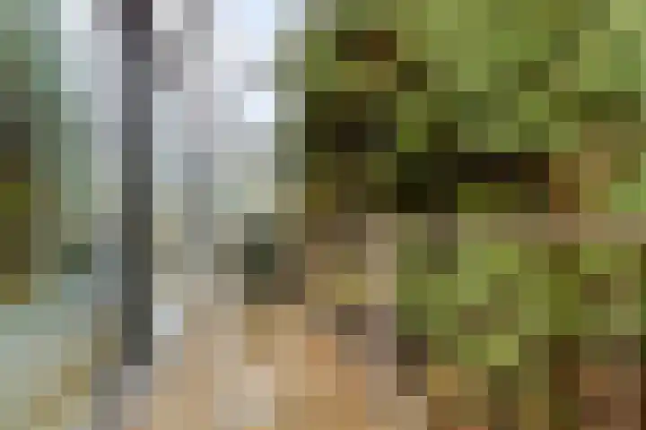 Aan de Kant 56 Uithoorn thumbnail 18
