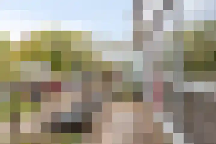 Aan de Kant 56 Uithoorn thumbnail 24