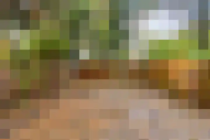 Aan de Kant 56 Uithoorn thumbnail 37