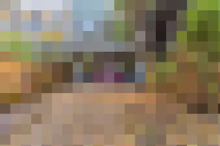 Aan de Kant 56 Uithoorn thumbnail 38
