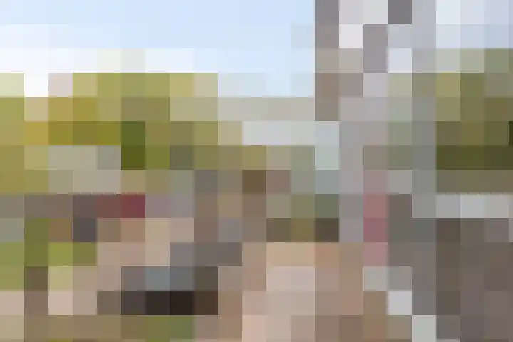 Aan de Kant 56 Uithoorn thumbnail 4