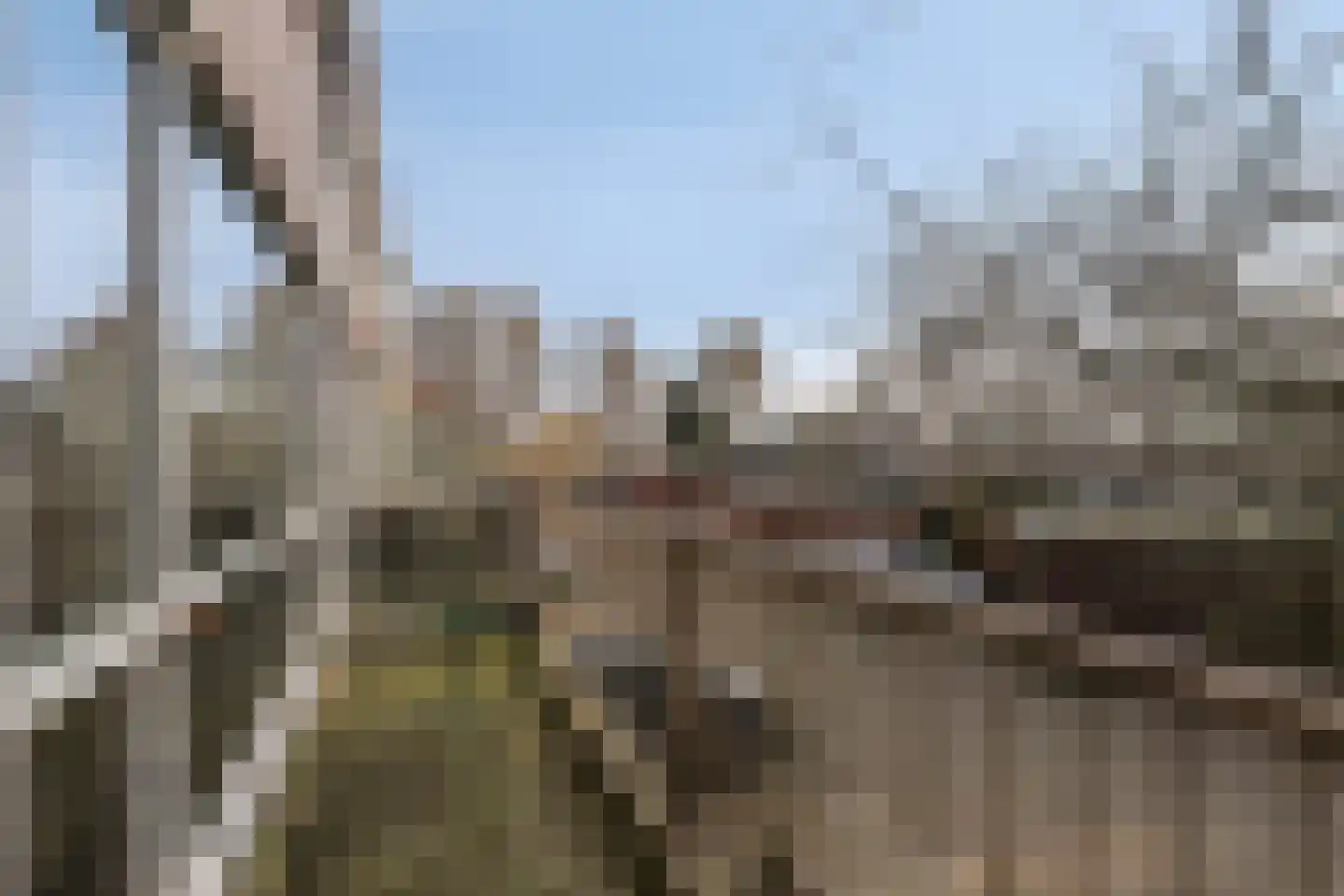 Aan de Kant 70 Uithoorn thumbnail 24
