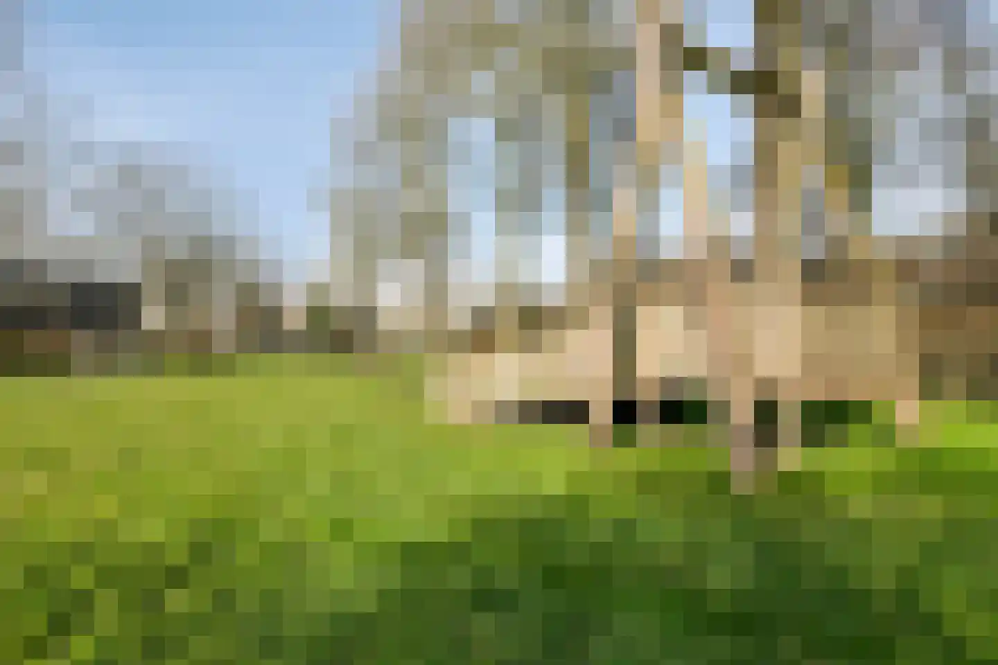 Aan de Kant 70 Uithoorn thumbnail 42